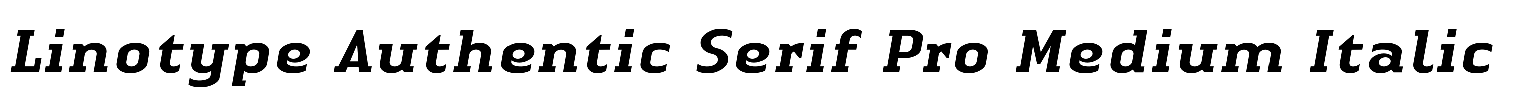Linotype Authentic Serif Pro Medium Italic